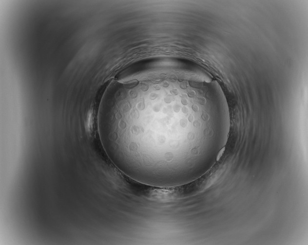 X0000094200139200710261200