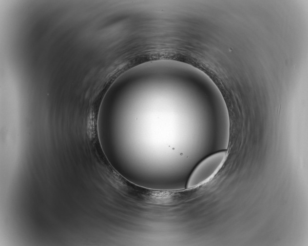 X0000094200144200710261159