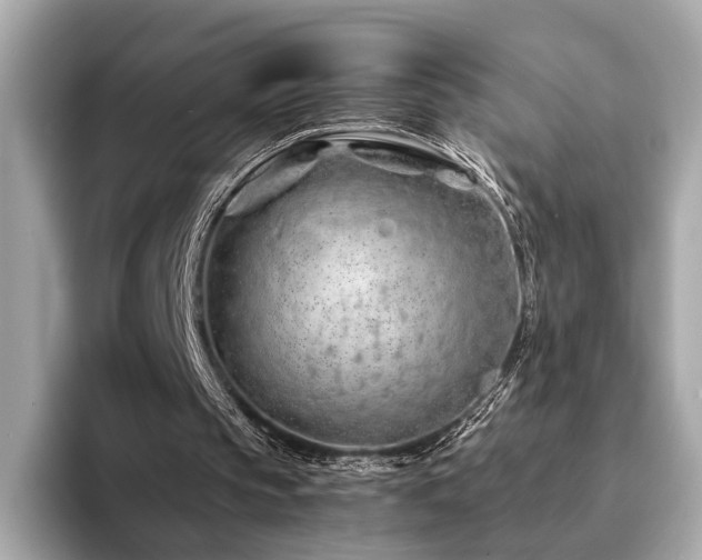 X0000094200145200710261159
