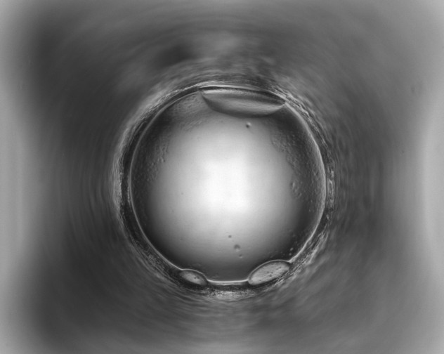 X0000094200149200710261159