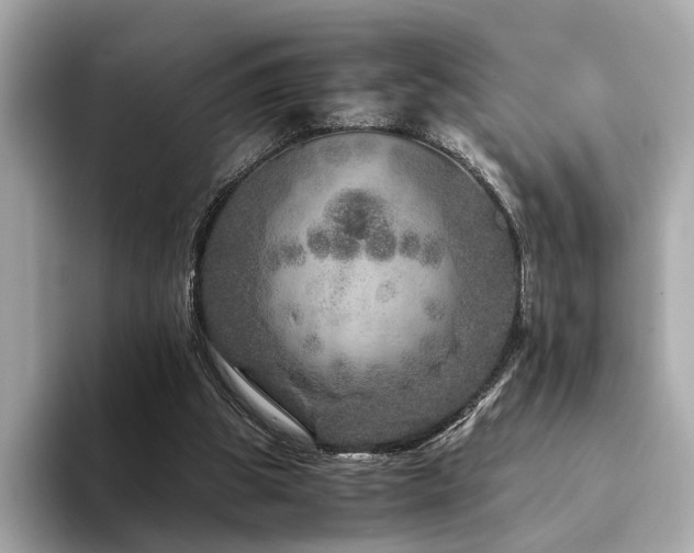 X0000094200153200710261159