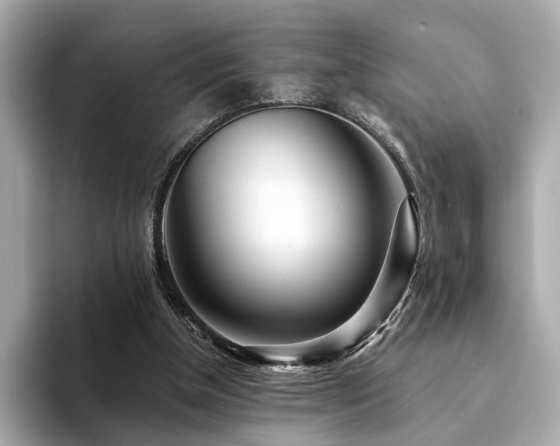 X0000094200154200710261159