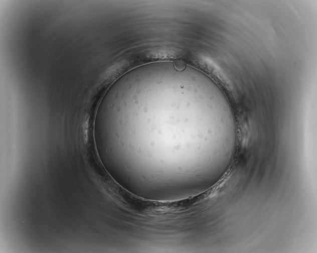 X0000094200163200710261159