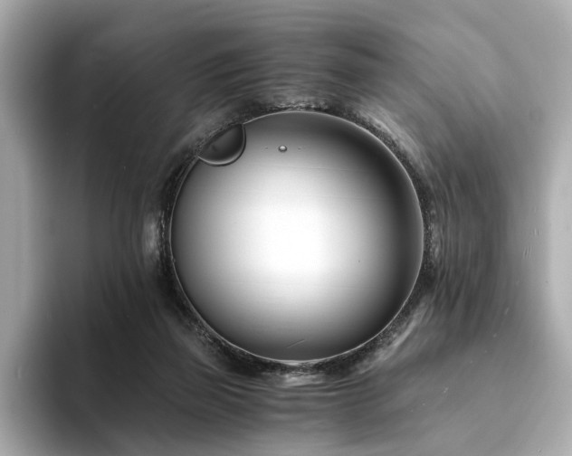 X0000094200165200710261159