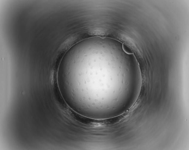 X0000094200167200710261159