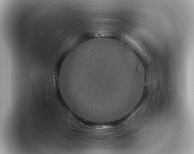 X0000094200169200710261159