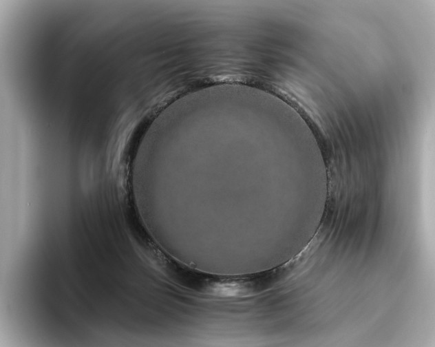 X0000094200171200710261159