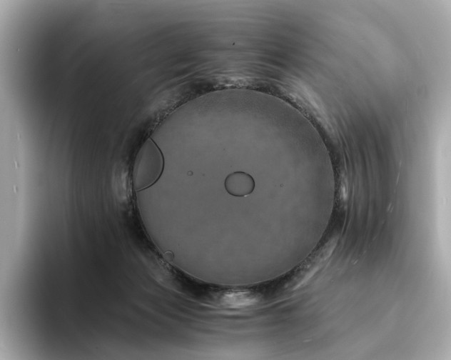 X0000094200173200710261159
