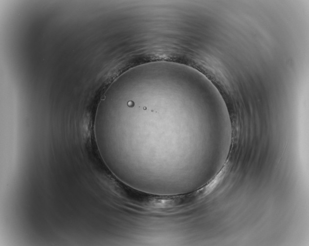 X0000094200174200710261159