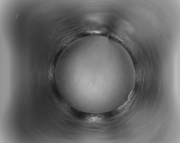 X0000094200175200710261159