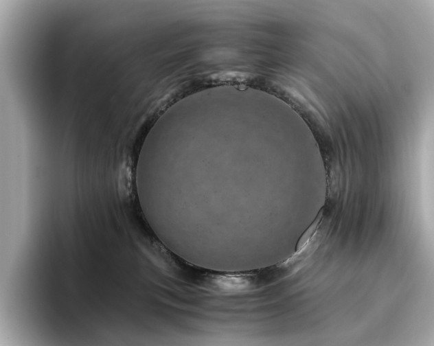 X0000094200183200710261159