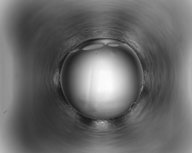 X0000094200189200710261159