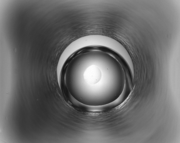X0000094200192200710261159