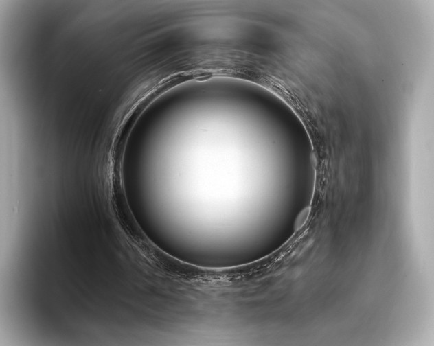 X0000094200194200710261159