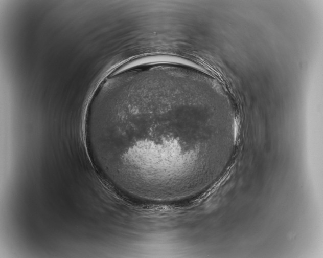 X0000094200195200710261159