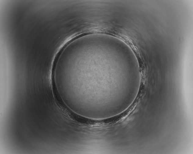 X0000094200196200710261159