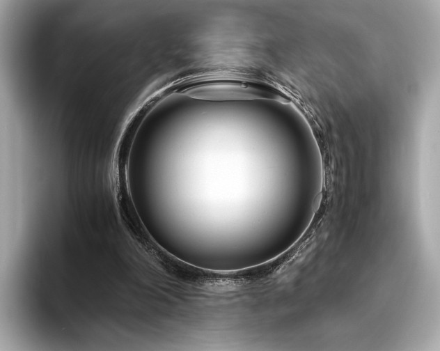 X0000094200198200710261159