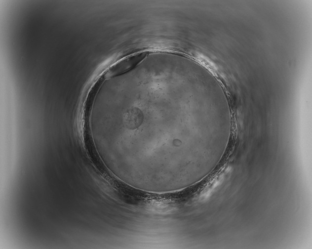 X0000094200199200710261159