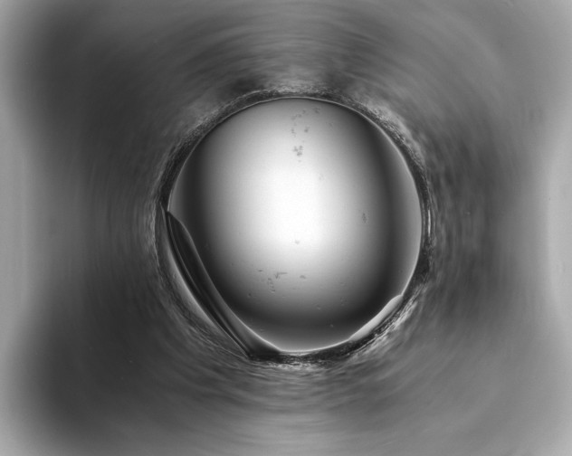X0000094200201200710261159