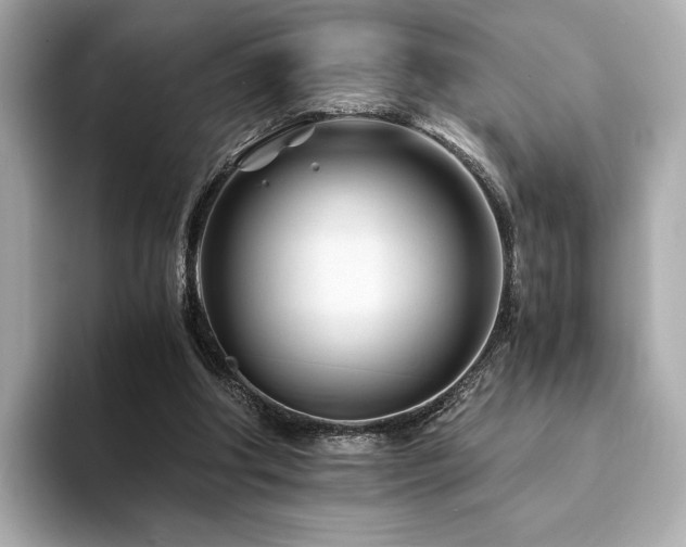 X0000094200202200710261159