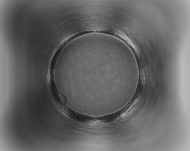 X0000094200203200710261159