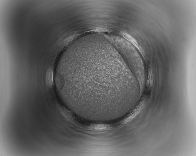 X0000094200205200710261159