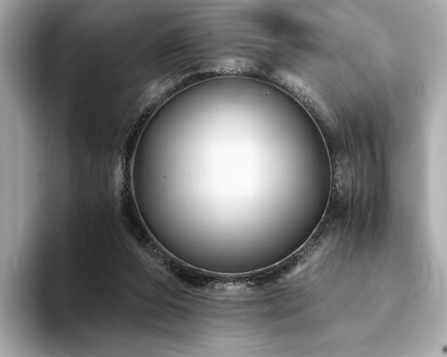 X0000094200208200710261159