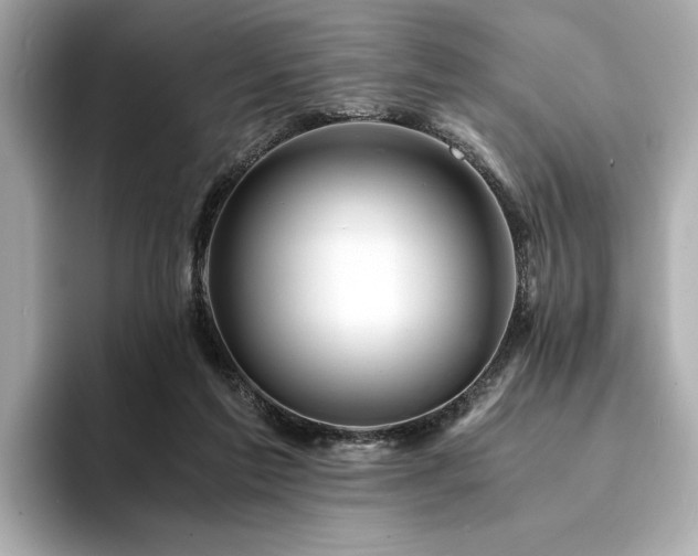 X0000094200213200710261159
