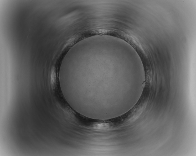 X0000094200220200710261158