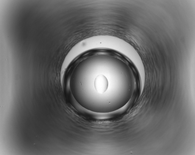 X0000094200237200710261158