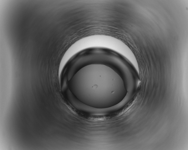 X0000094200239200710261158