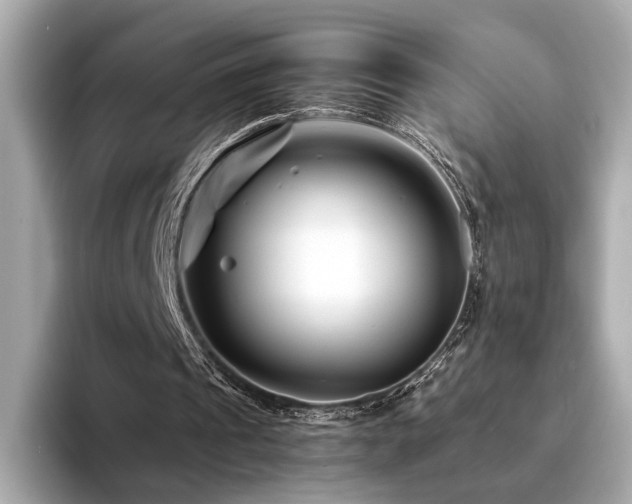 X0000094200241200710261158