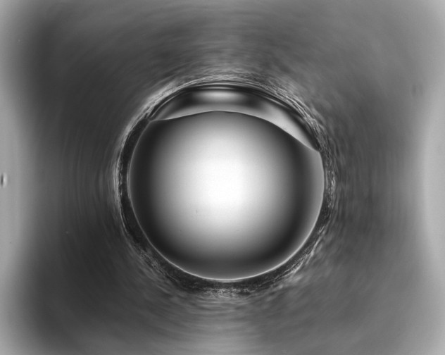 X0000094200244200710261158