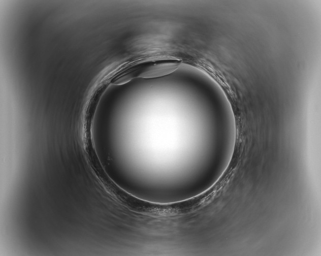 X0000094200245200710261158