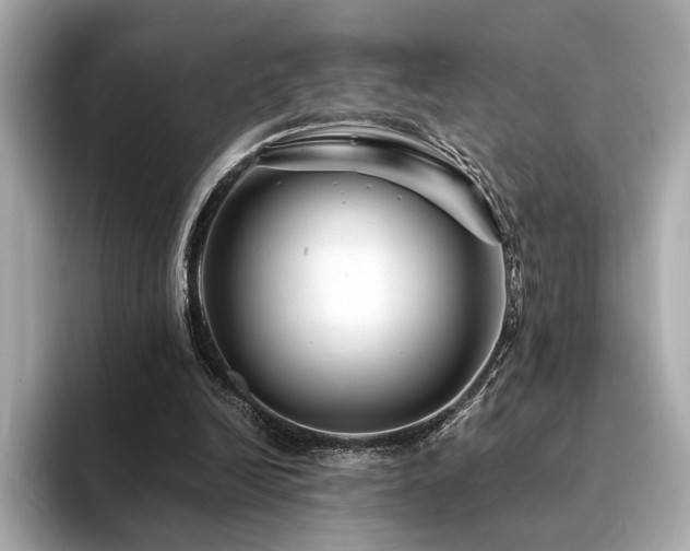 X0000094200246200710261158