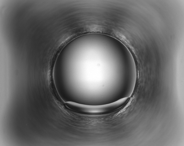X0000094200249200710261158