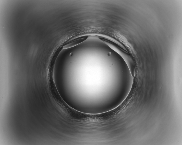 X0000094200250200710261158