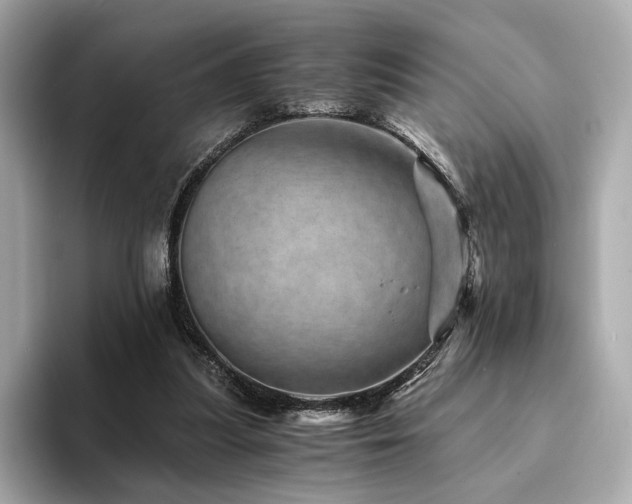 X0000094200251200710261158
