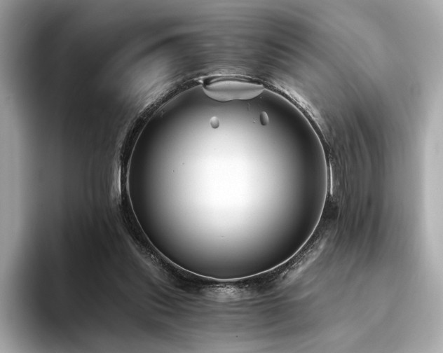 X0000094200253200710261158