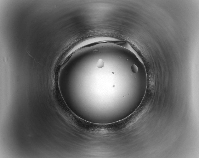 X0000094200254200710261158