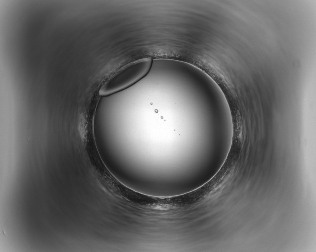 X0000094200255200710261158