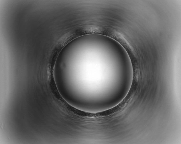 X0000094200259200710261158