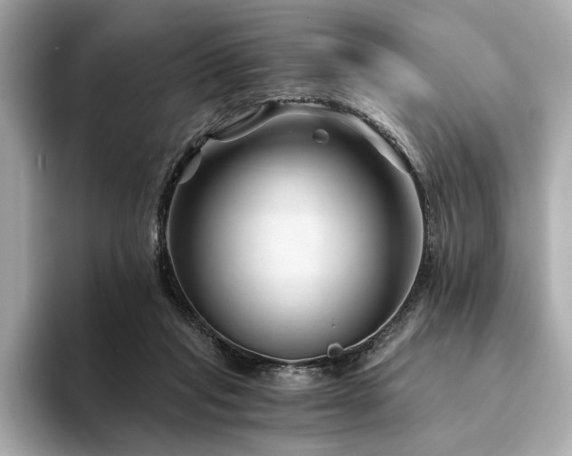 X0000094200261200710261158