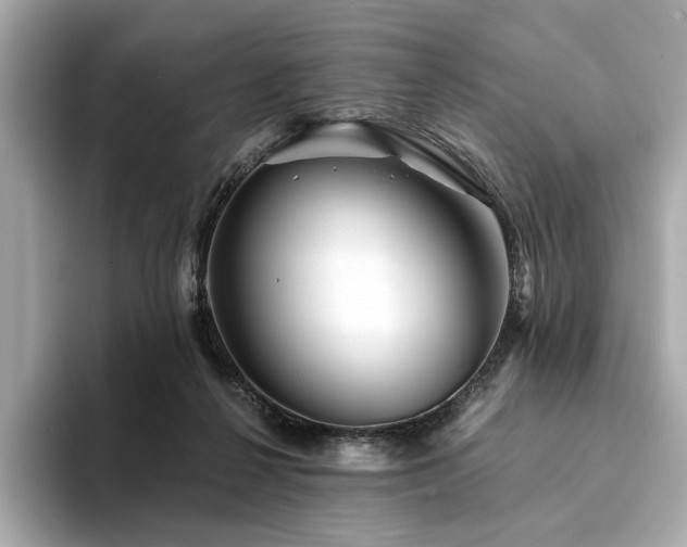 X0000094200264200710261158