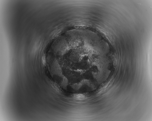 X0000094200287200710261158