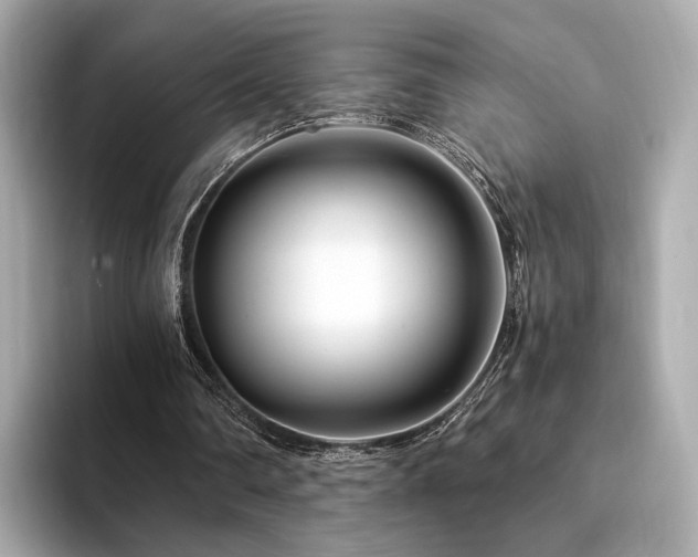 X0000094200290200710261158