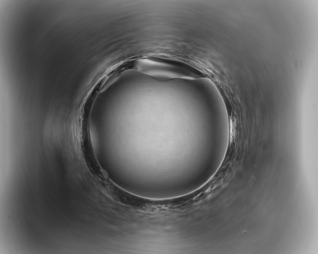 X0000094200291200710261158