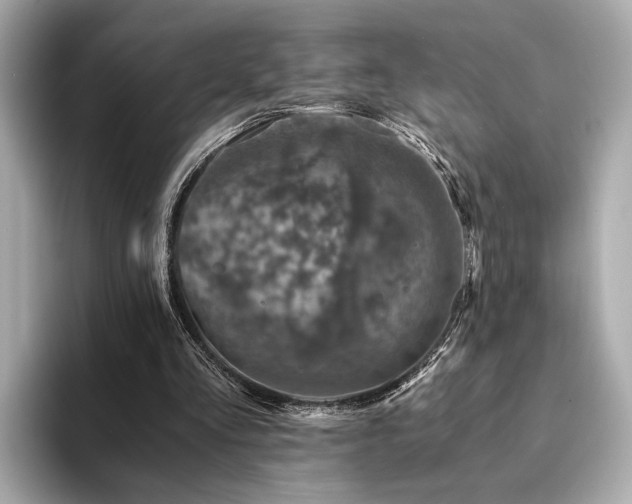X0000094200293200710261157
