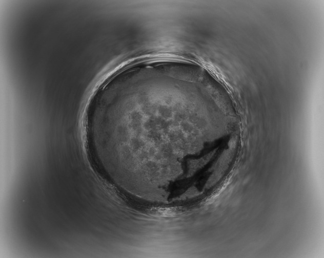 X0000094200295200710261157