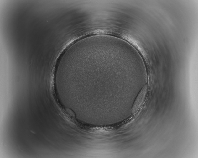 X0000094200297200710261157